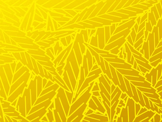 Sativa Vs Indica Terpenes: What's The Difference?