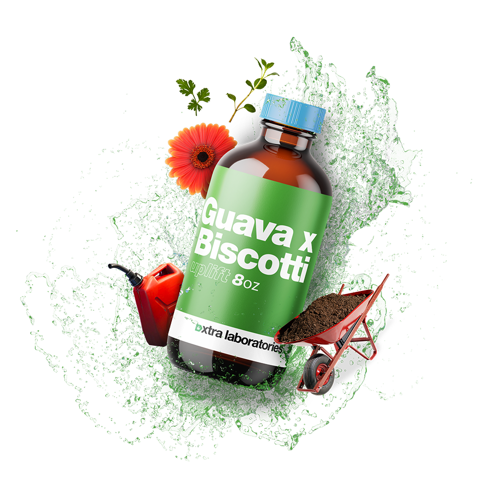 Guava x Biscotti Terpene image 0