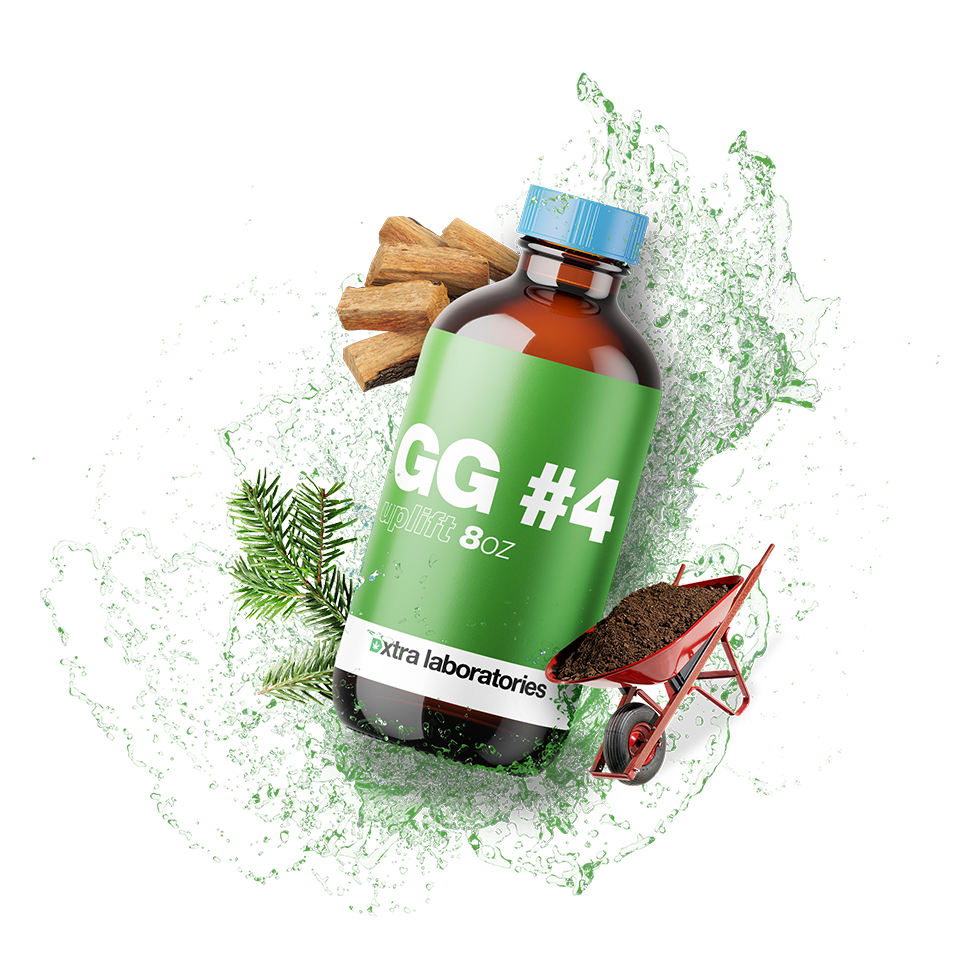 GG #4 Terpenes image 0