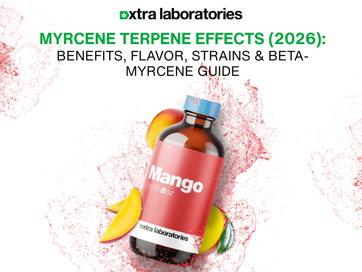 Myrcene Terpene Effects, Benefits, Flavor & Strains (2026 Guide)